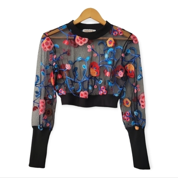 Dress the Population Cosmopolitan Embroidered Mesh Crop Top XS - Picture 3 of 9